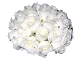 ramos de rosas blancas