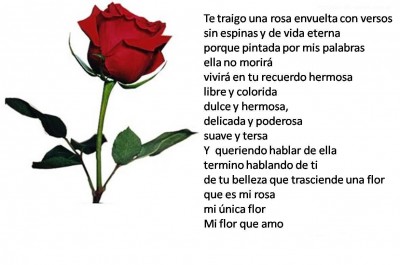 rosas-con-poemas-10184