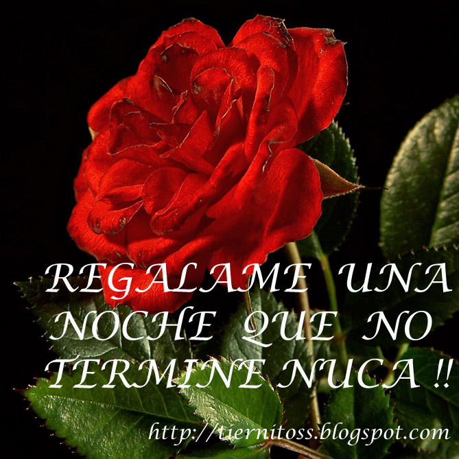 Imágenes de rosas rojas con lindas frases de amor.