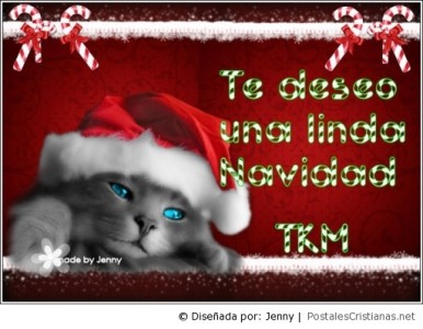 Navidad_Jesus_47