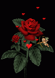 rosas-cupido-amor-gif
