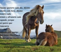 Imágenes de caballos con frases de amor