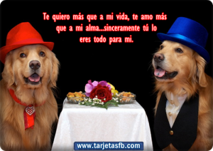 tarjetas+ de+ perro+ con+ frases+ de+ amor+ para+ facebook